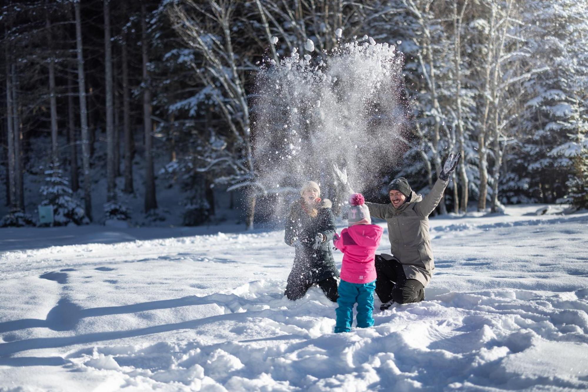 Feriengut Ottacherhof - Active Family Holiday In Central Hollersbach Голлерсбах-ім-Пінцґау Екстер'єр фото